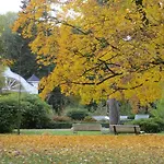 Aue