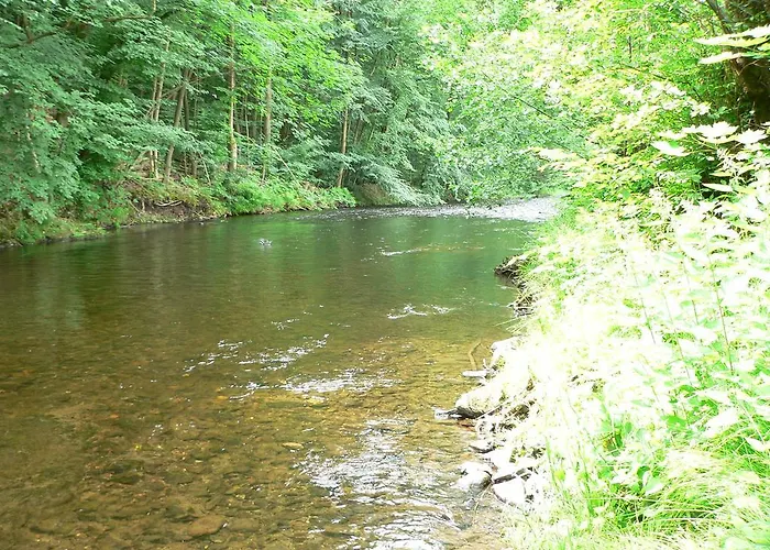 Lägenhet Aue Bad Lauterberg